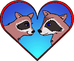 Raccoons in love - 237x198 24K