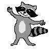 gray coon spin animation - 100x100 17K